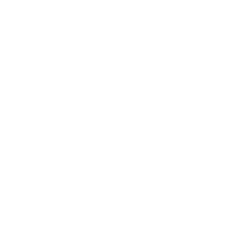 European Board of Plastic Reconstructive and Aesthetic Surgery